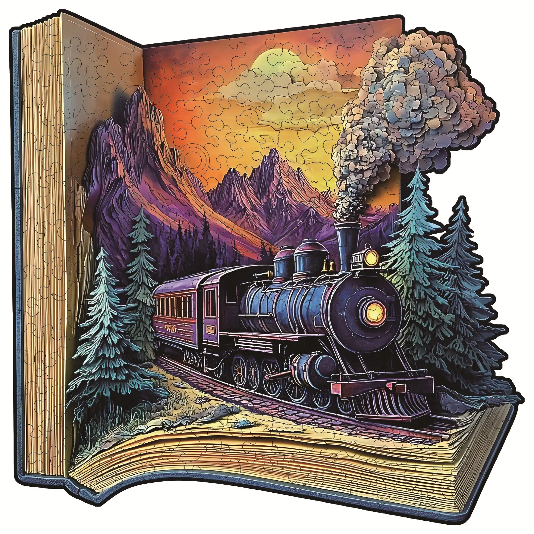 Train In The Book Puzzle